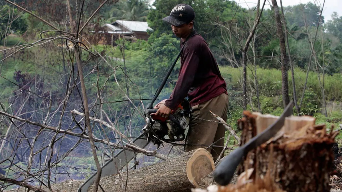 Kemenhut Akui Sebagian Kayu yang Terbawa Banjir di Sumatra Berasal dari Illegal Logging