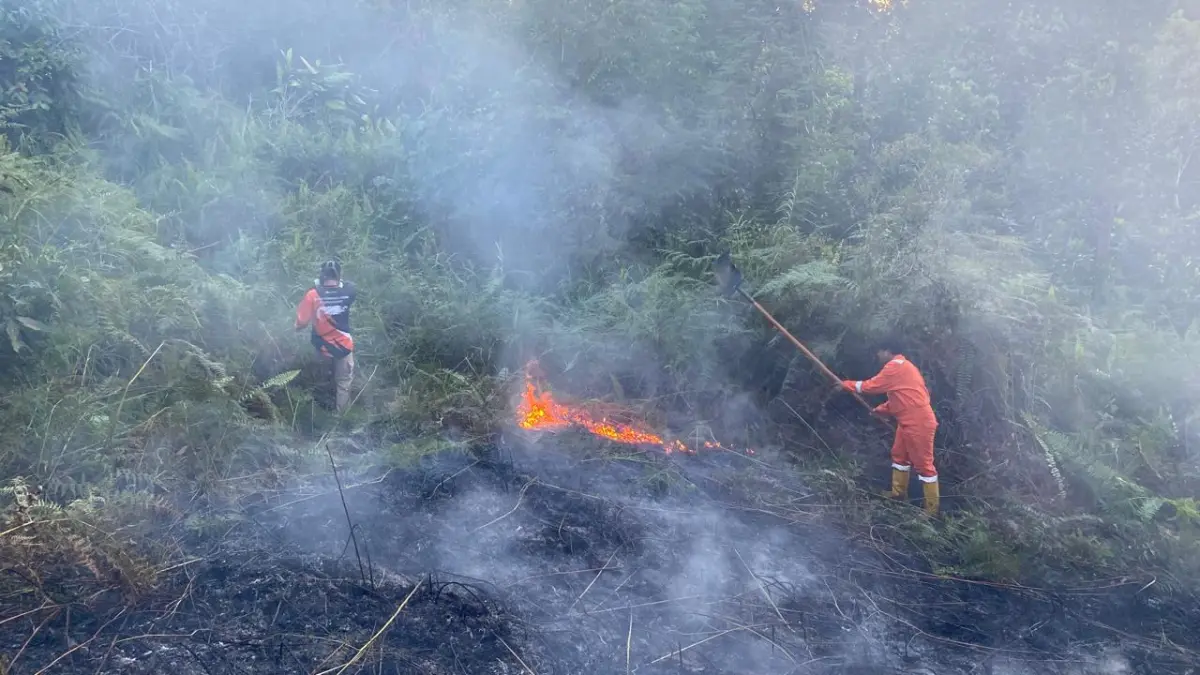 Dua Hektare Lahan di Nunukan Terbakar
